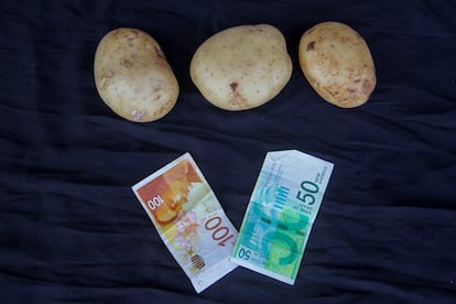 Estas tres patatas, fotografiadas el 25 de agosto en un mercado del norte de Gaza, cuestan 150 séqueles, unos 36 euros. Eso cuando se encuentran, porque los bombardeos y los desplazamientos masivos han obligado a abandonar la mayoría de campos y huertas y la ayuda humanitaria sigue siendo muy escasa para atender a los más de dos millones de habitantes de este territorio palestino. Antes de la guerra, que comenzó en octubre de 2023, estas patatas costaban unos dos séqueles, unos 50 céntimos. Según las últimas cifras de la Clasificación Integrada de las Fases (CIF, en español, IPC, en inglés), una herramienta independiente y mundialmente reconocida que mide la seguridad alimentaria y la nutrición y en la que participan varias organizaciones de la ONU, el 96% de toda la población de Gaza enfrenta altos niveles de inseguridad alimentaria aguda. Los últimos resultados indican que unas 495.000 personas sufren niveles catastróficos de inseguridad alimentaria, y el riesgo de hambruna persiste en toda Gaza.